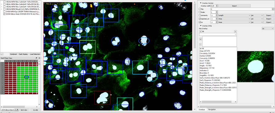 Assay Development