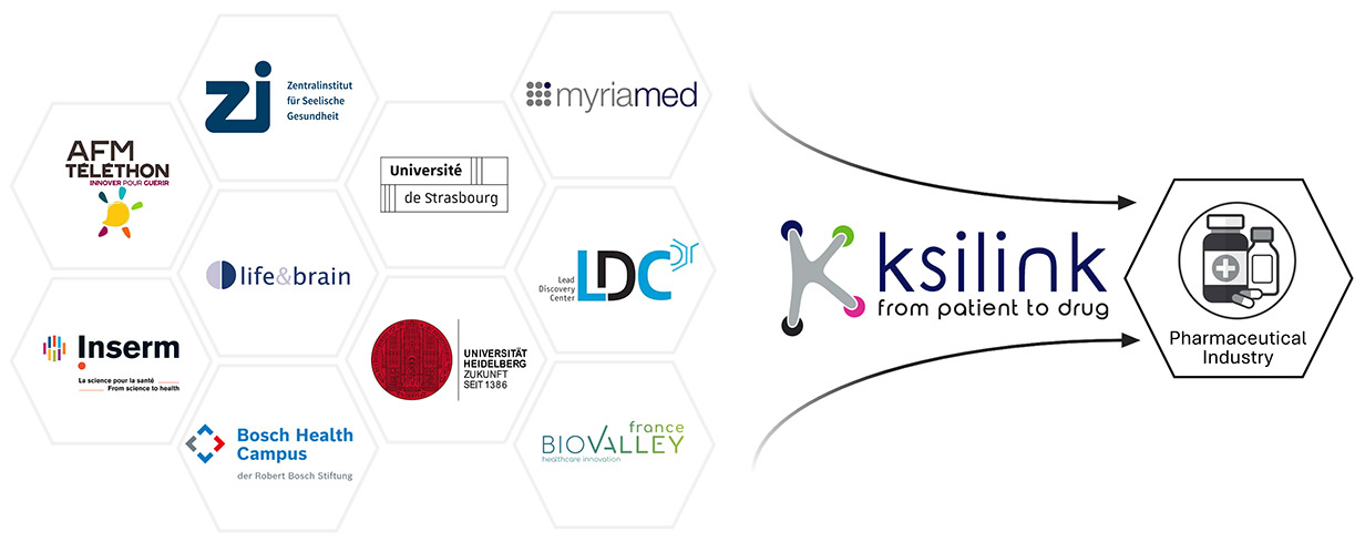 Ksilink's partners KOL