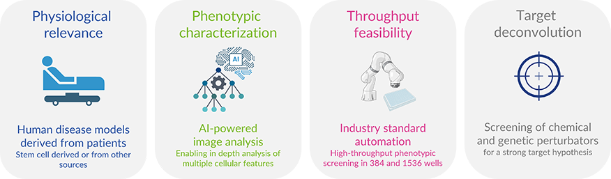 Platform-Ksilink 25_10 Platform Ksilink